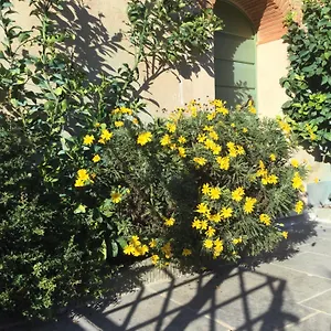 Ferienhaus Casa Mita Con Pacchetto Mare Incluso Italien
